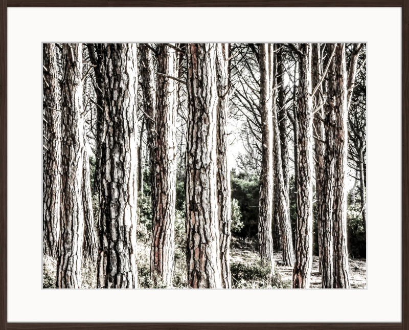 Boschi Serie Boschi - Visual solutions by VISUALAND.it