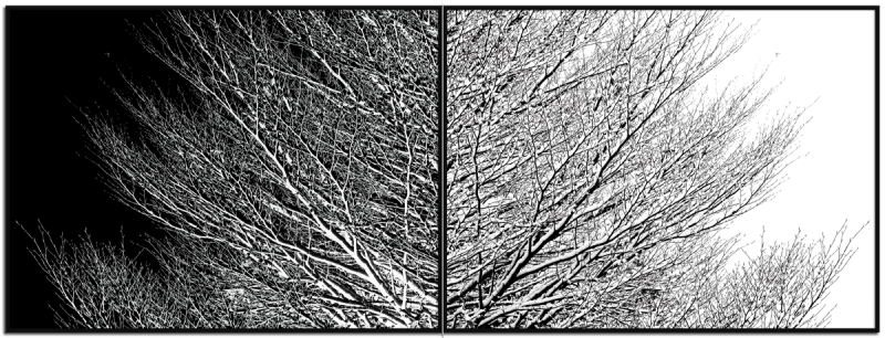 Serie Trees Serie Trees - Visual solutions by VISUALAND.it