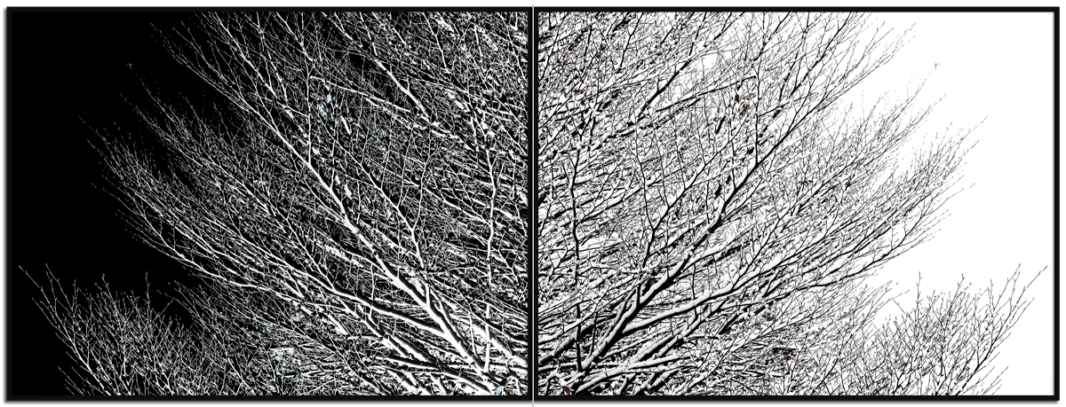 Serie Trees Serie Trees - Visual solutions by VISUALAND.it