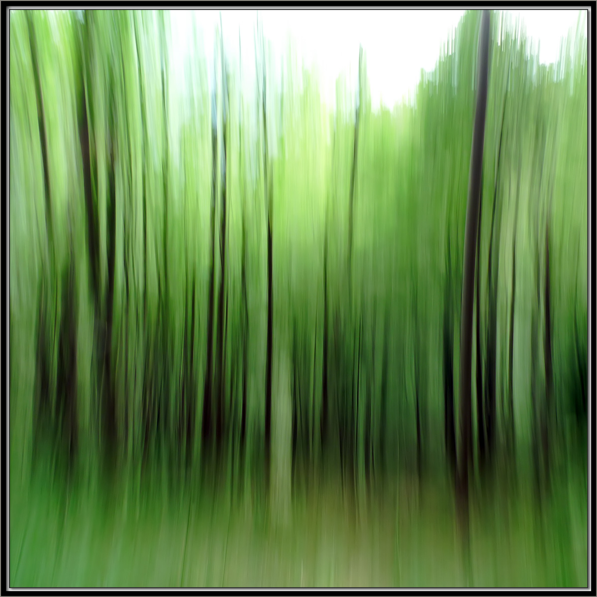 Green Pannings Serie Green Pannings - Visual solutions by VISUALAND.it